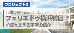 プロジェクト3　フェリエドゥ横浜鴨井